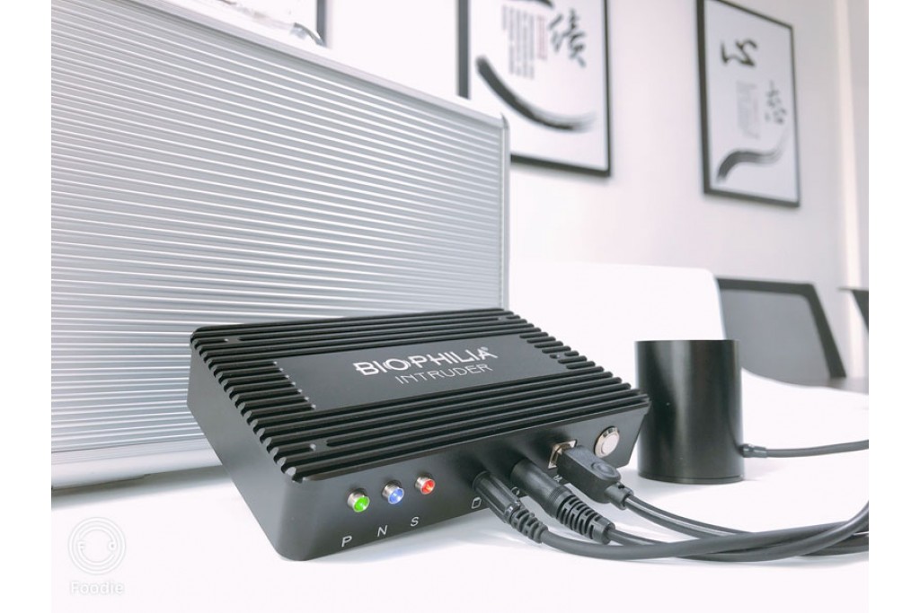 Foods That Boost Immunity